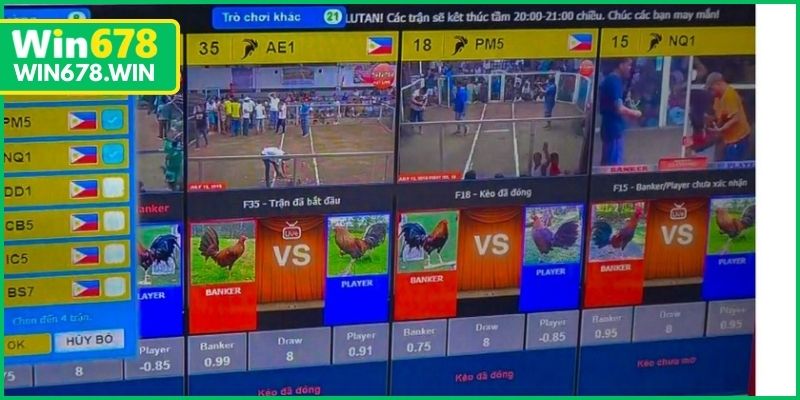 Khả năng cập nhật khung giờ thi đấu nhanh chóng và chính xác