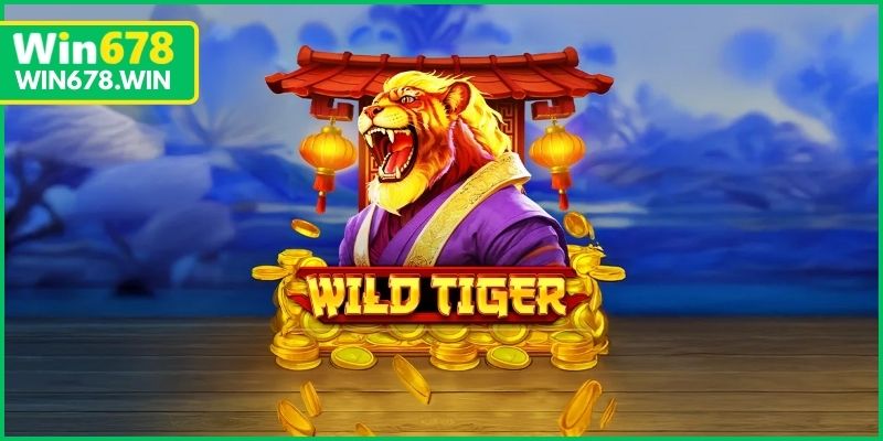 Thông tin cơ bản về game nổ hũ Wild Tiger